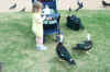 DCP_4743.JPG (846568 bytes)